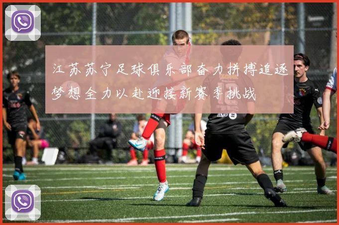 江苏苏宁足球俱乐部奋力拼搏追逐梦想全力以赴迎接新赛季挑战