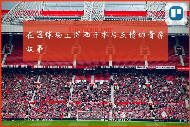 在篮球场上挥洒汗水与友情的青春故事