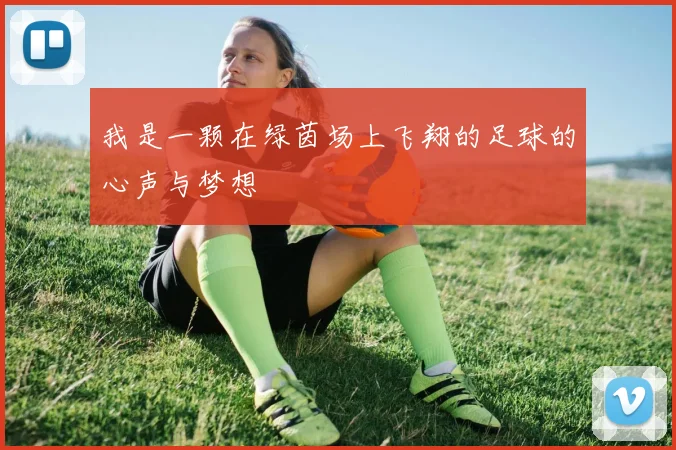 我是一颗在绿茵场上飞翔的足球的心声与梦想