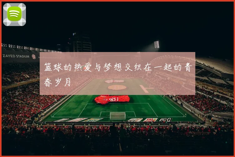 篮球的热爱与梦想交织在一起的青春岁月